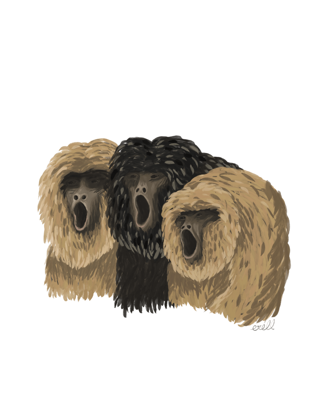 J&rsquo;ai testé : survivre à mes vacances (et à mon bilan carbone) au&nbsp;Guatemala