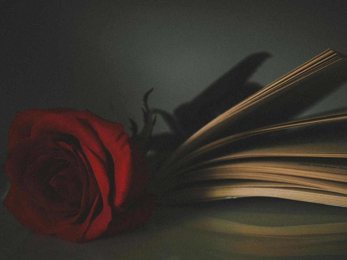 Pour ou contre : la dark romance 