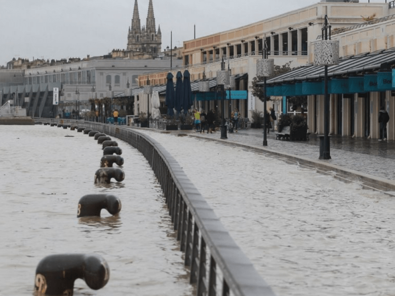 À Bordeaux, la tempête Pedro pose de sérieux enjeux pour&nbsp;l’avenir